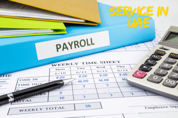 Pinnacler payroll services in UAE company
